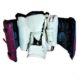 AJD-S-002  跆拳道護具Protector for tae kwon do